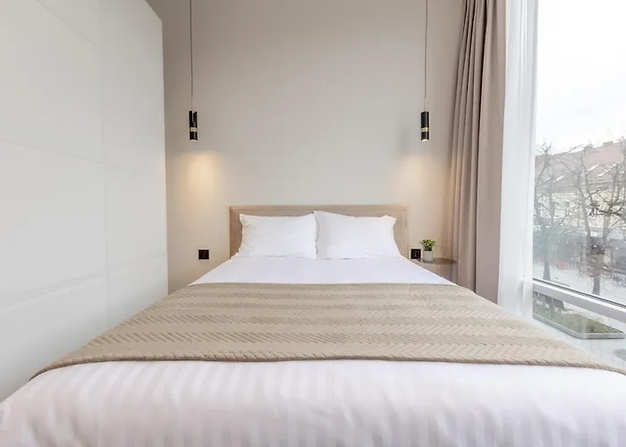 Laisve Boutique Appartement